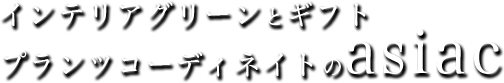 インテリアグリーンとギフト プランツコーディネイトのアジアック